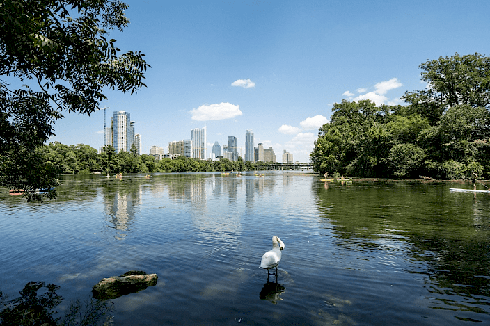Austin’s Lady Bird Lake, right next to downtown